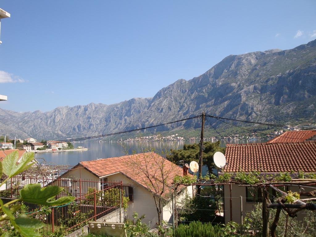 Apartments Nima Kotor Kültér fotó